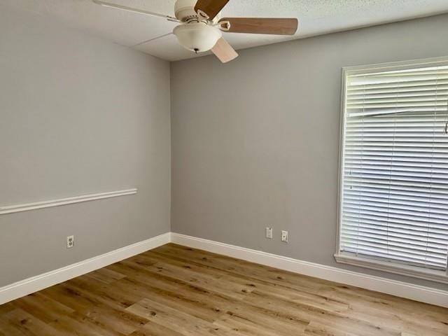 3031 Windmill Street - Photo 3