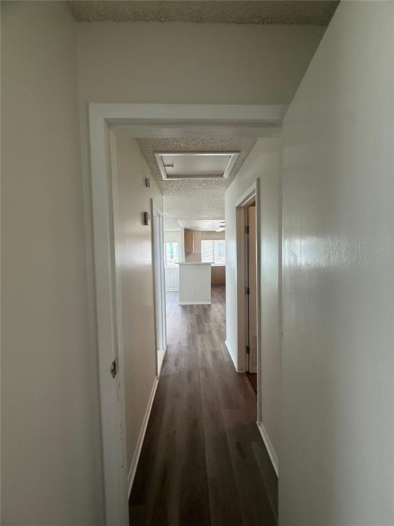 1101 Spring Meadow Drive - Photo 16