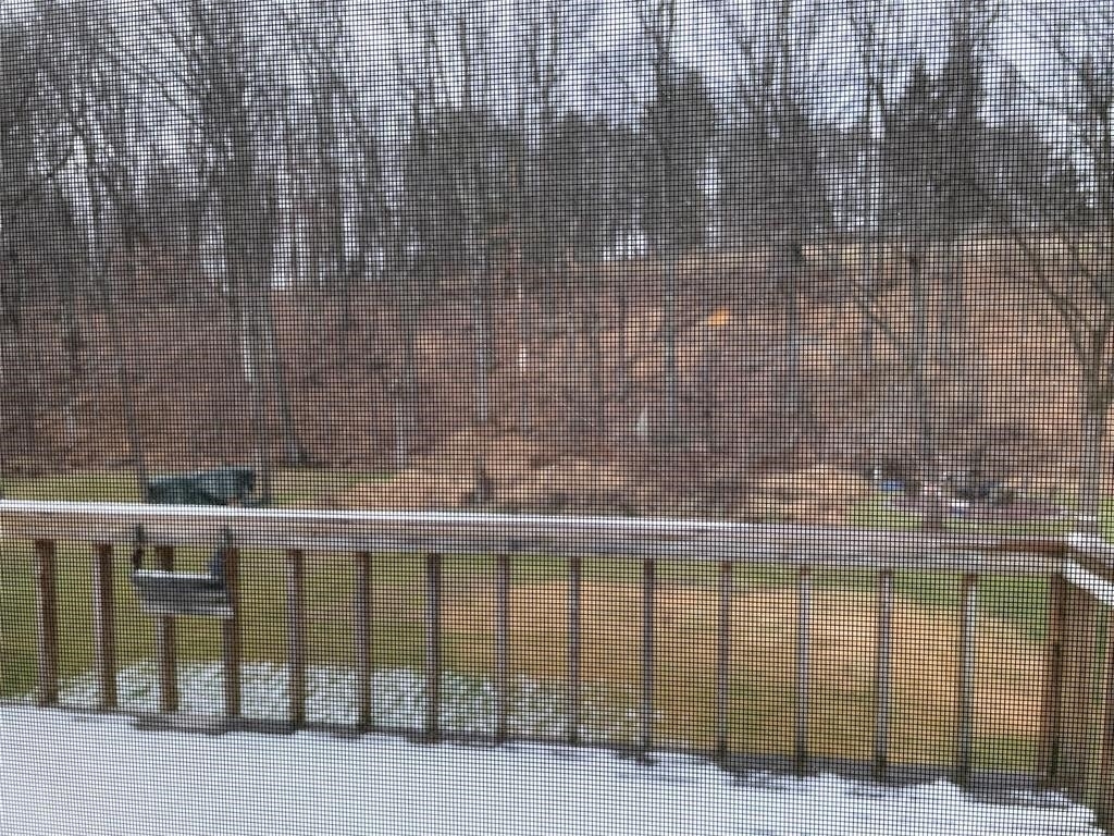 113 Sandy Drive - Photo 39