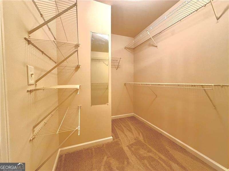 6215 Crested Moss Drive - Photo 20