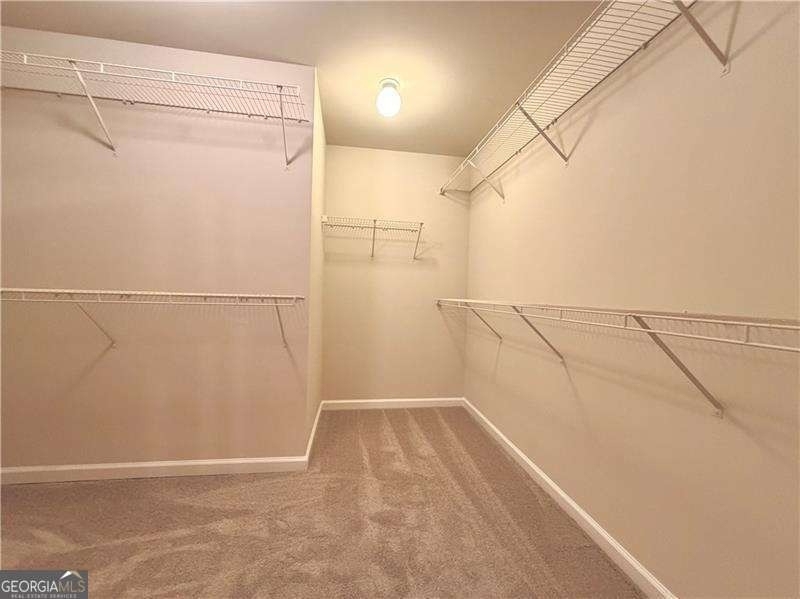 6215 Crested Moss Drive - Photo 19