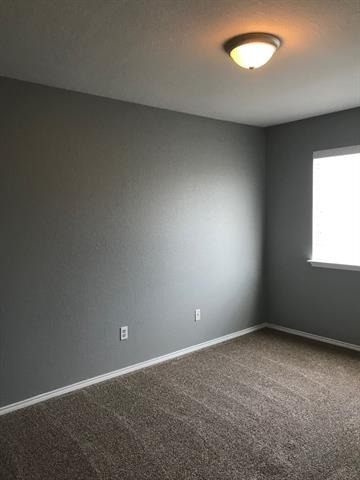 3305 Rustic Meadow Trail - Photo 8