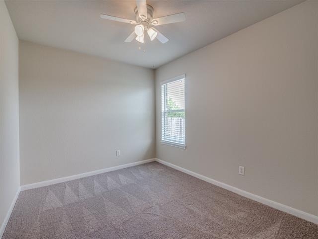 11728 Netleaf Lane - Photo 9