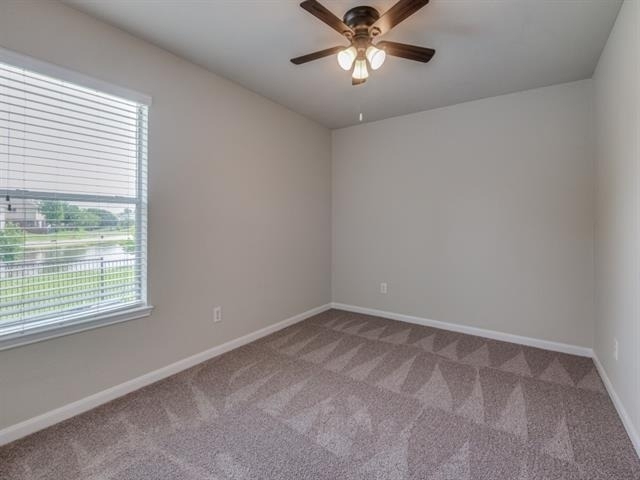 11728 Netleaf Lane - Photo 10