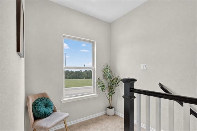 4811 Aldenbury Street - Photo 10