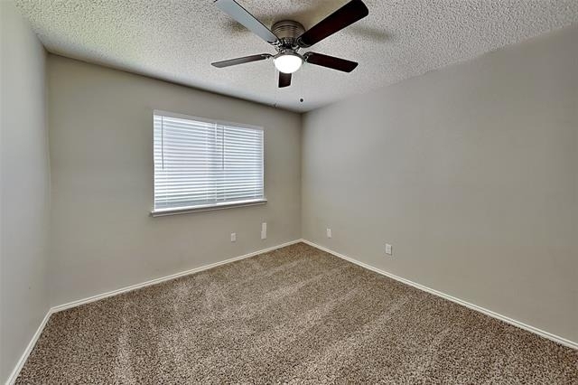 6921 Black Wing Drive - Photo 12