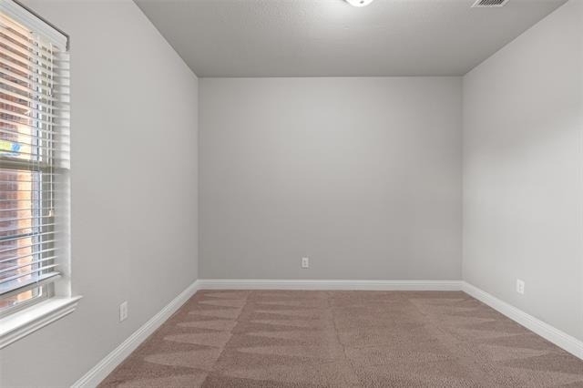3733 Cecelia Lane - Photo 25