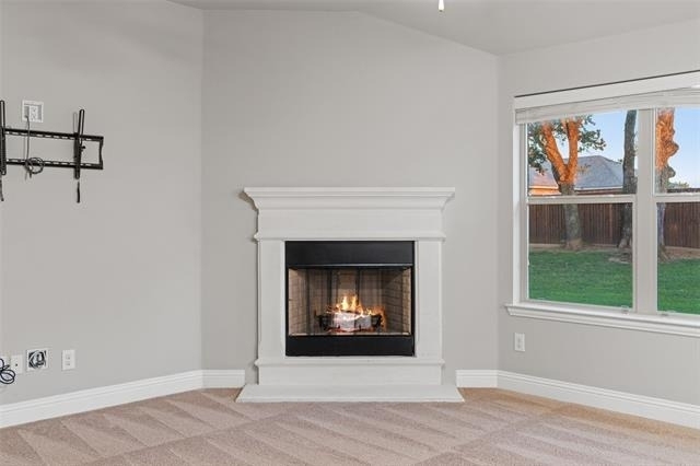 3733 Cecelia Lane - Photo 9