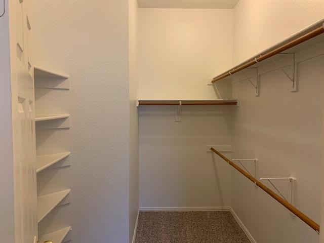 1709 Copper Leaf Drive - Photo 10