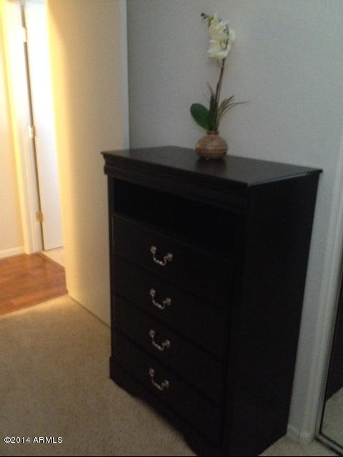 1250 S Rialto Drive - Photo 19