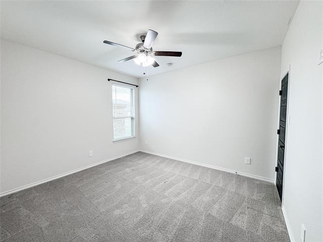 3227 Shortgrass Lane - Photo 14