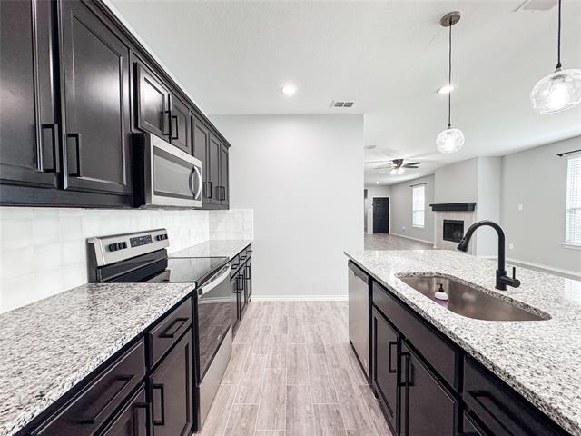 3227 Shortgrass Lane - Photo 4