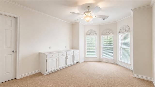 810 Pearl Drive - Photo 9