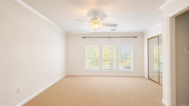 810 Pearl Drive - Photo 10