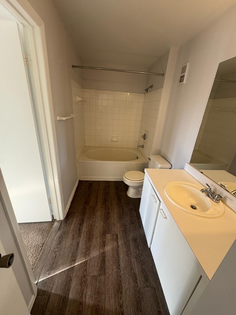 4807 Via Palm Lakes - Photo 13