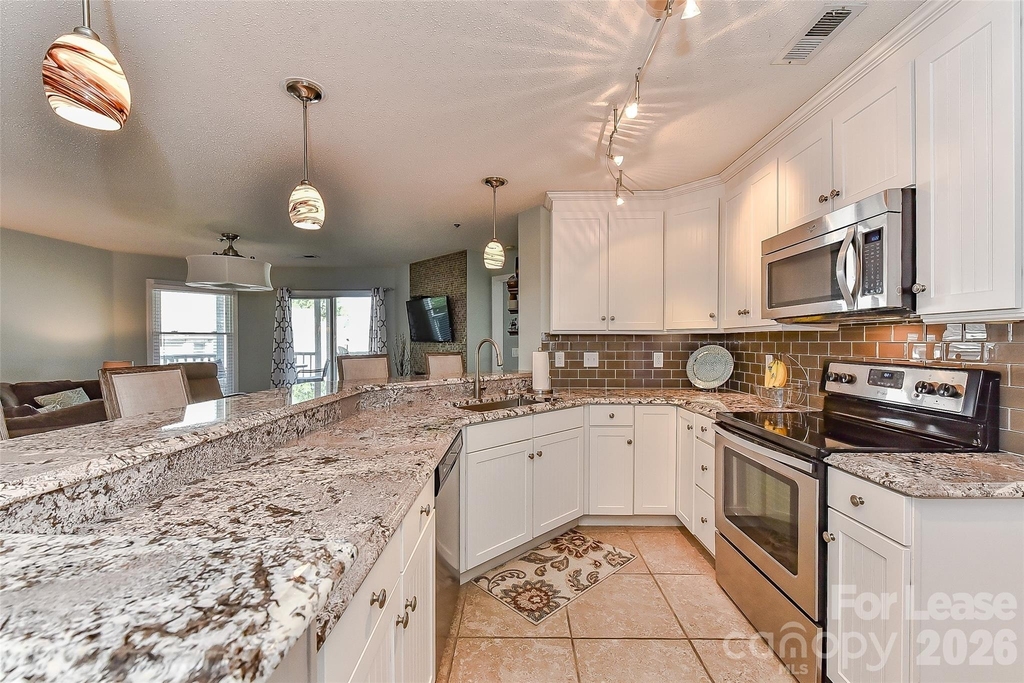 18557 Vineyard Point Lane - Photo 15
