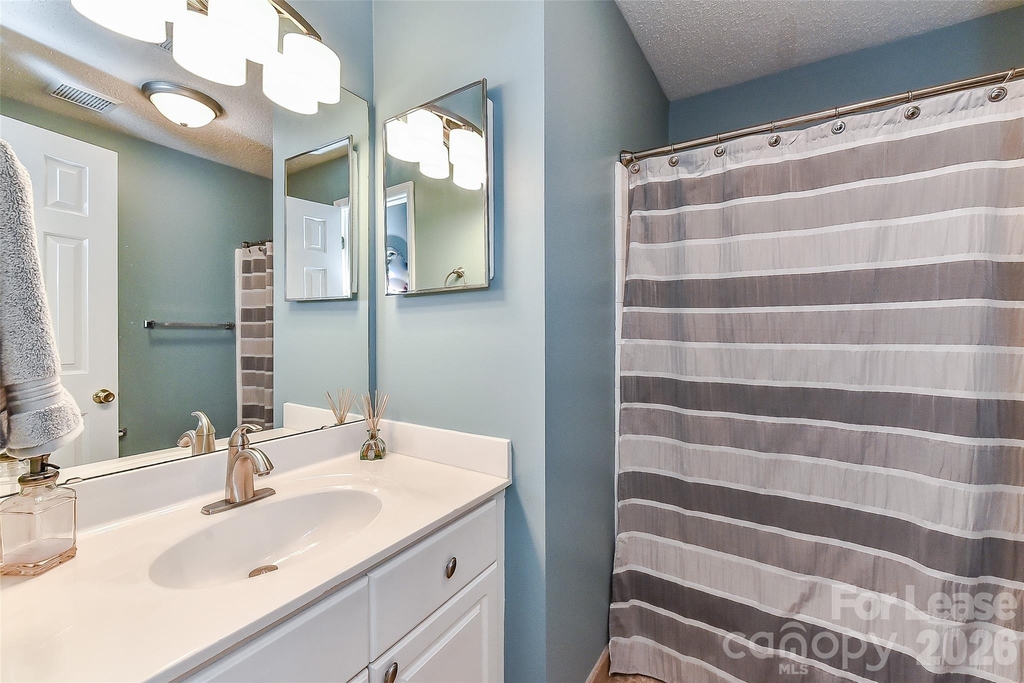 18557 Vineyard Point Lane - Photo 24