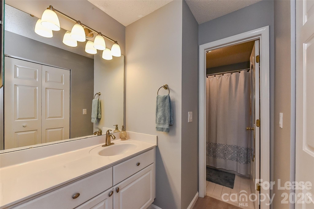 18557 Vineyard Point Lane - Photo 20