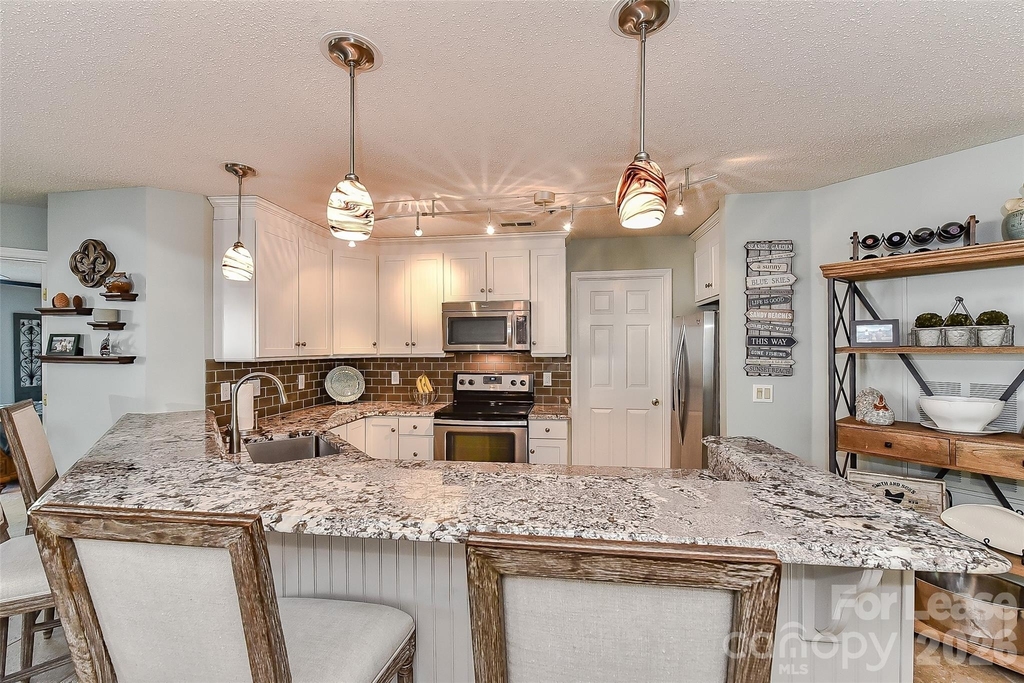 18557 Vineyard Point Lane - Photo 14