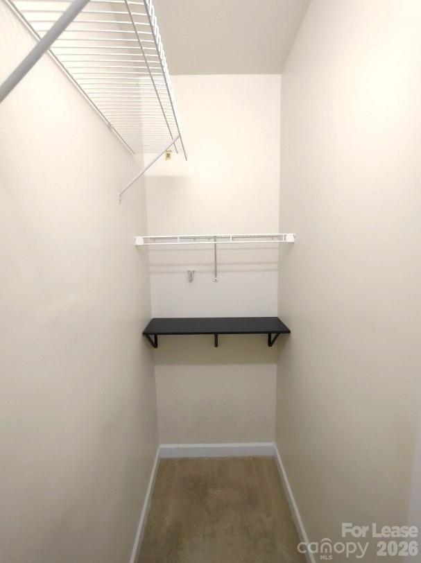 8606 Beaver Creek Drive - Photo 13
