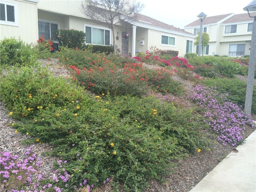 1063 Canyon Spring Lane - Photo 1