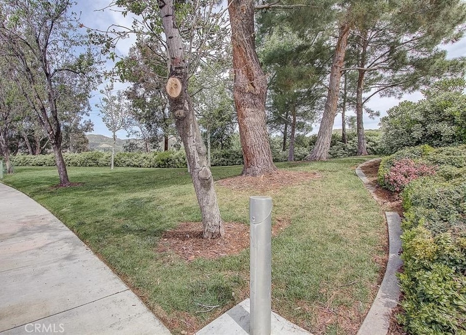 28545 Calex Drive - Photo 31