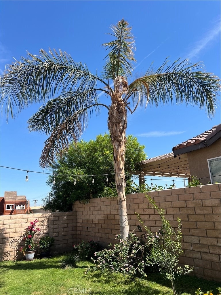 82779 Matthau - Photo 32