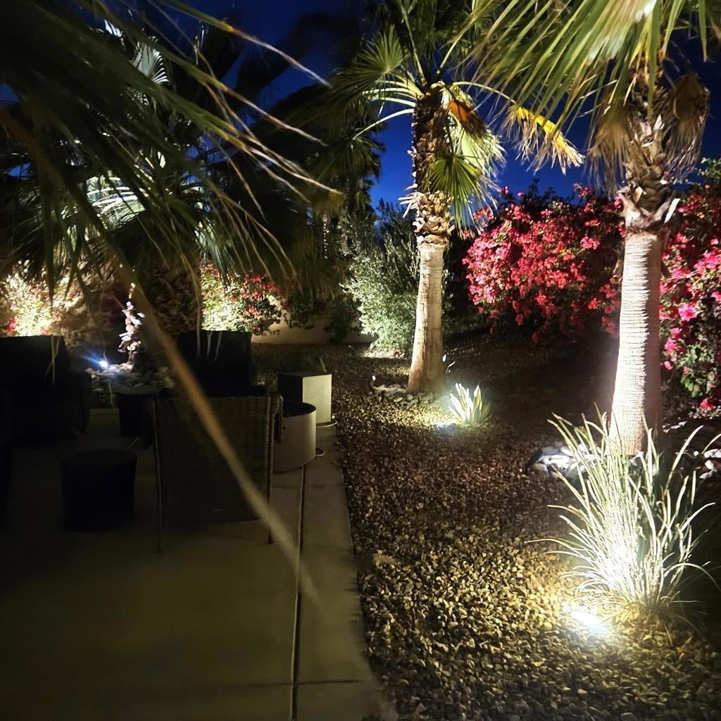 81672 Avenida Viesca - Photo 12