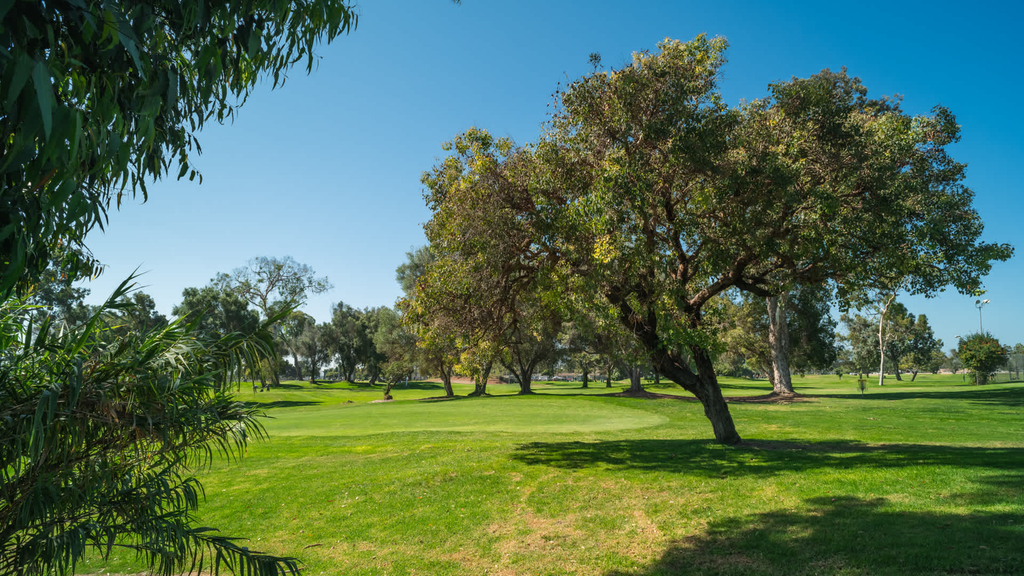 4275 Mission Bay Drive - Photo 36
