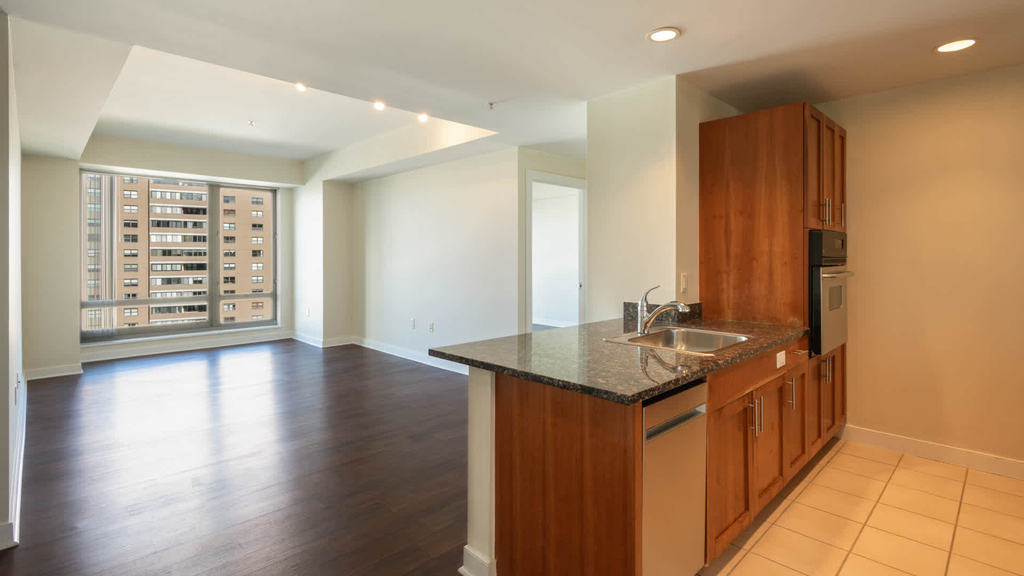 4 Emerson Place - Photo 56