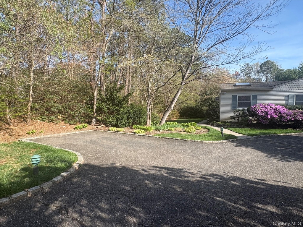 54 Old Brook Road - Photo 11