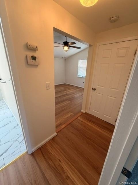 16 Forest Drive - Photo 20