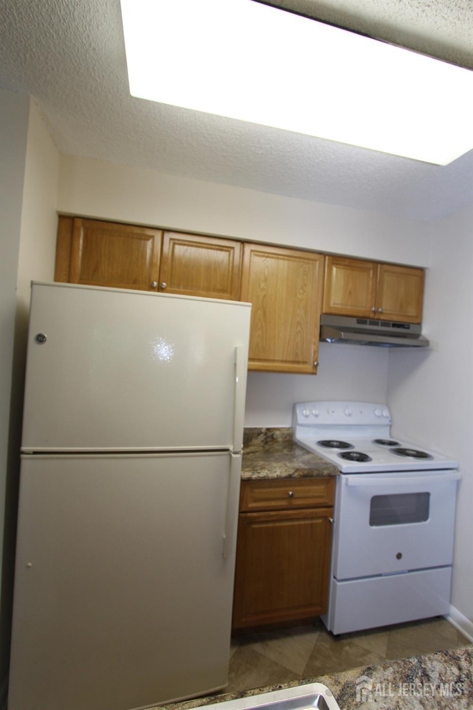 4707 Ravens Crest Drive - Photo 10