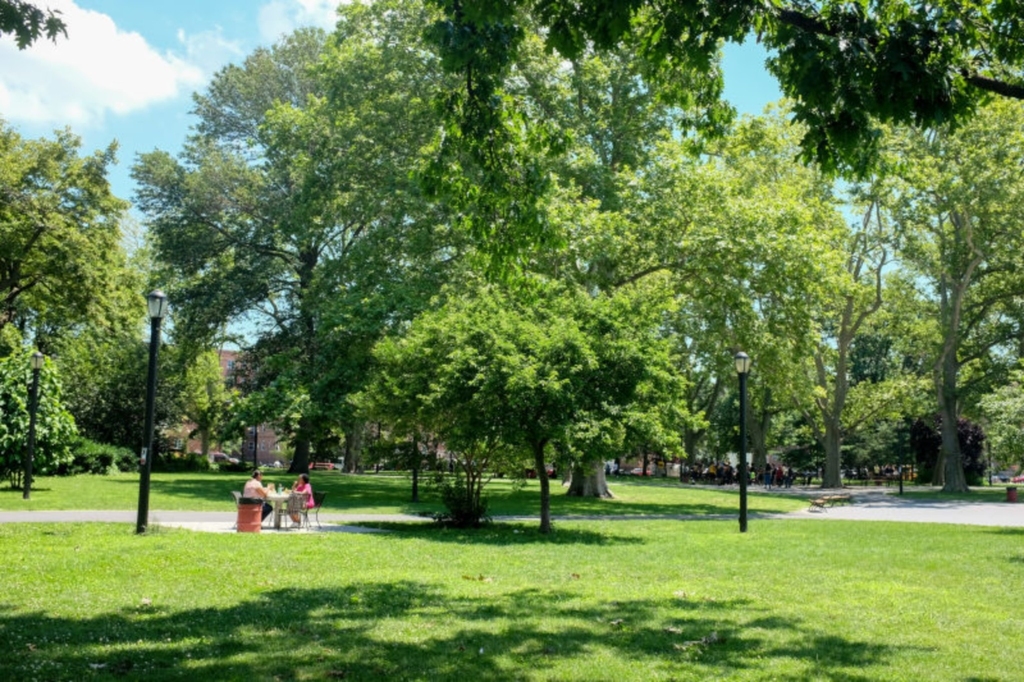 5 Delavan Street - Photo 7