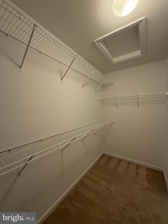 2401 Copa Court - Photo 17