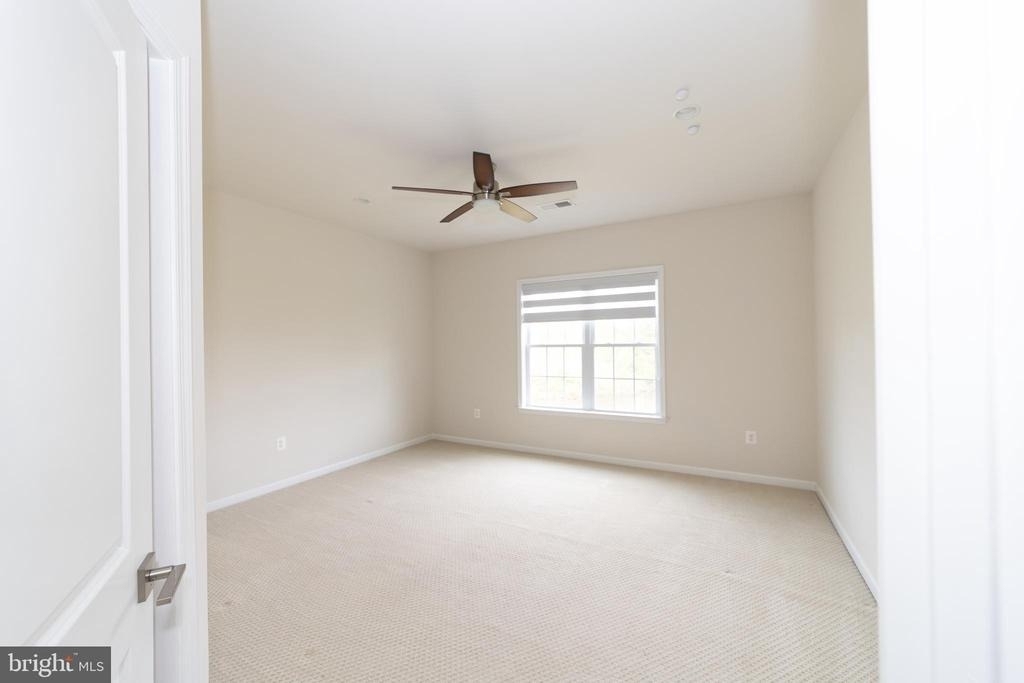 24446 Carolina Rose Circle - Photo 10