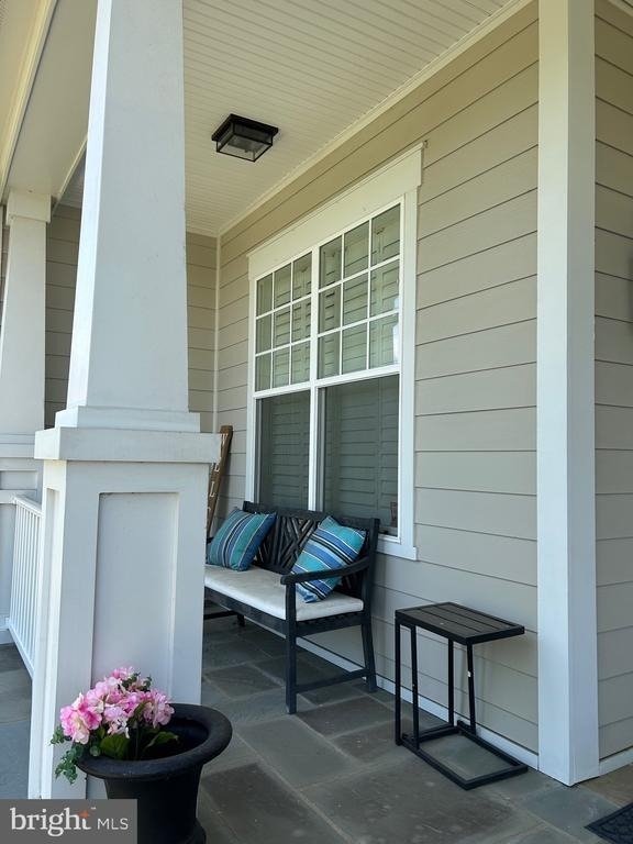24467 Mint Julep Lane - Photo 3
