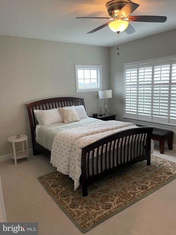 24467 Mint Julep Lane - Photo 26