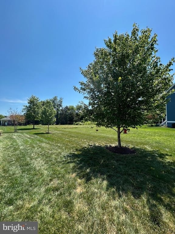 24467 Mint Julep Lane - Photo 5