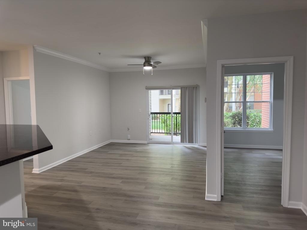 11345 Aristotle Drive - Photo 6