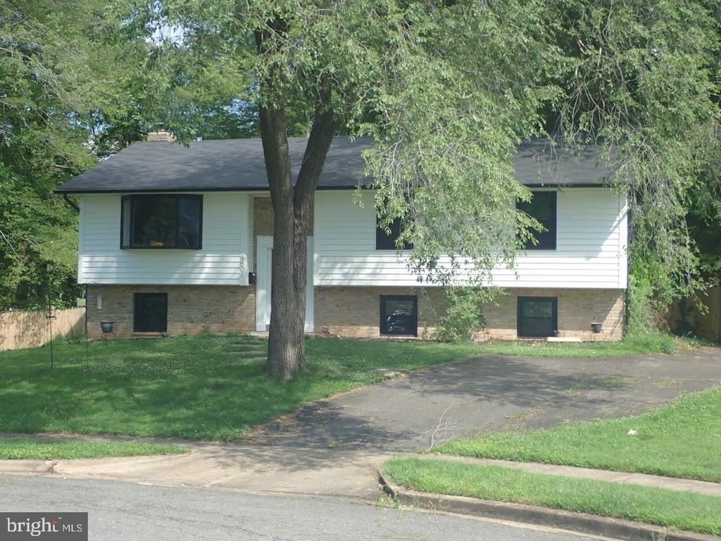 8501 Woodbine Lane - Photo 0
