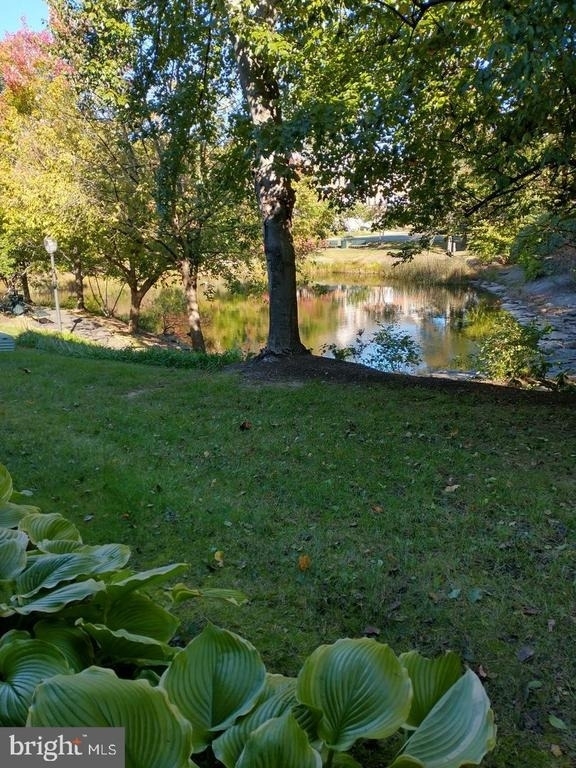 11551 Laurel Lake Square - Photo 29