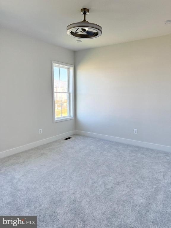 141 Bamboo Shoot Lane - Photo 19