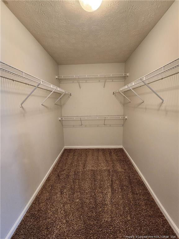 1549 Laurel Oak Drive - Photo 6
