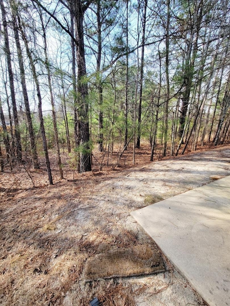 3944 Volkswalk Place - Photo 44