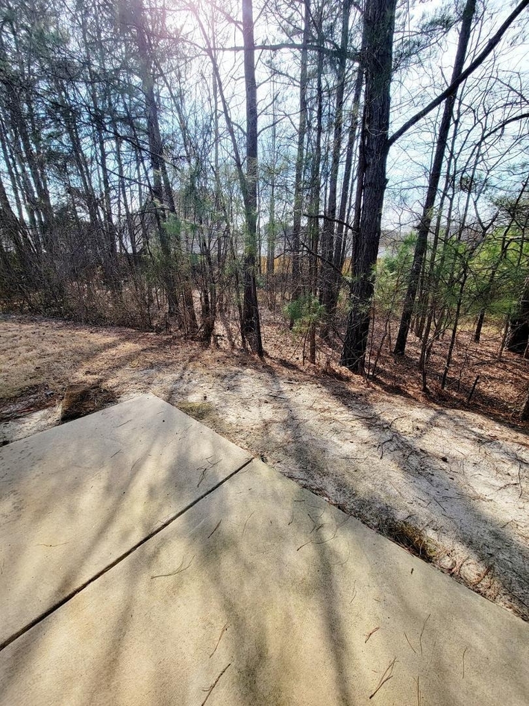 3944 Volkswalk Place - Photo 43