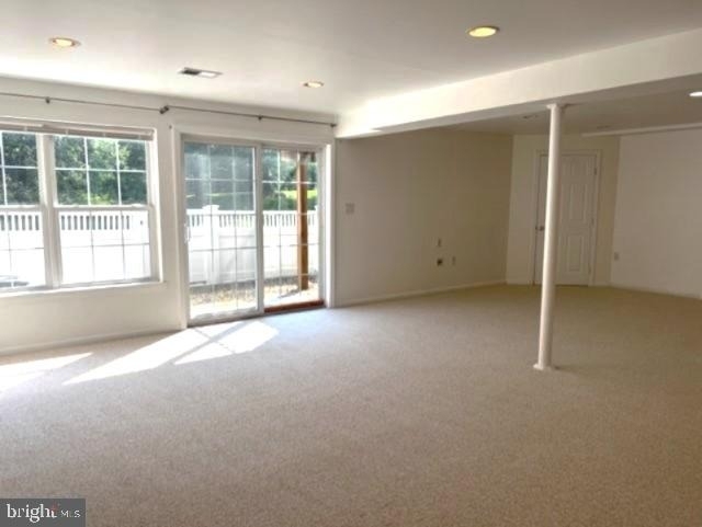 245 Colt Street - Photo 21