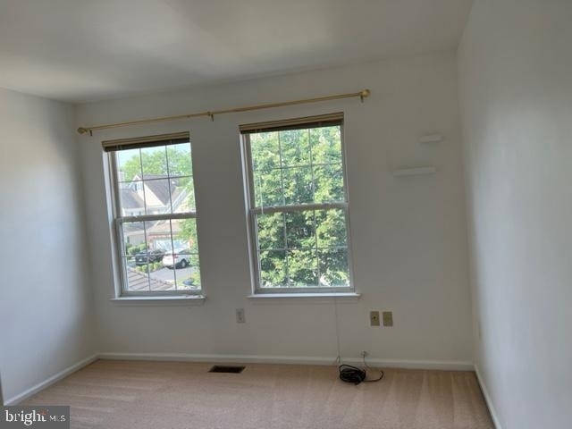 245 Colt Street - Photo 18