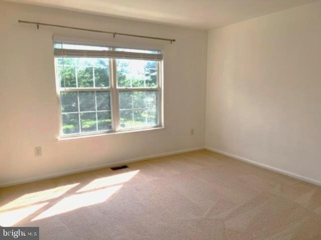 245 Colt Street - Photo 20
