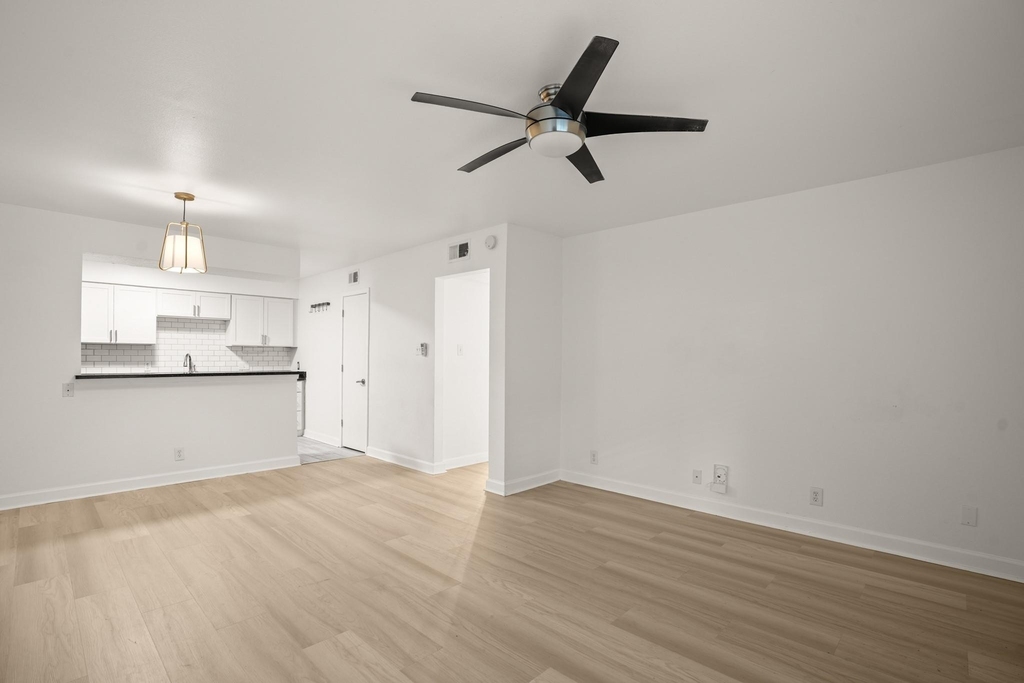 2020 S Congress Ave - Photo 7